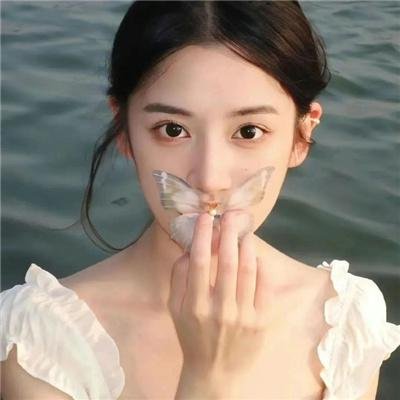 星星守护犬